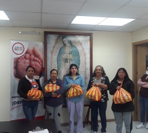 ENTREGA DE ALIMENTOS